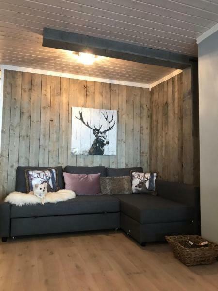 Kvamseter Lodge - Mountain Apartments 努尔黑姆松 外观 照片