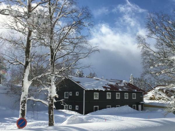 Kvamseter Lodge - Mountain Apartments 努尔黑姆松 外观 照片
